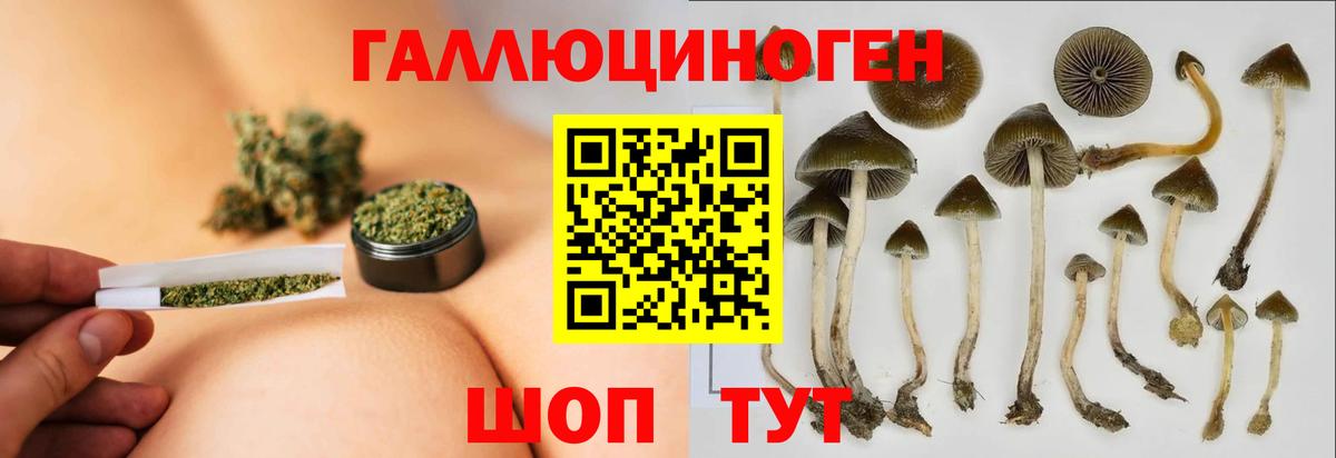 Псилоцибиновые грибы Magic Shrooms  Псилоцибиновые грибы ЛСД  Донецк  наркотики  Вход с VPN 