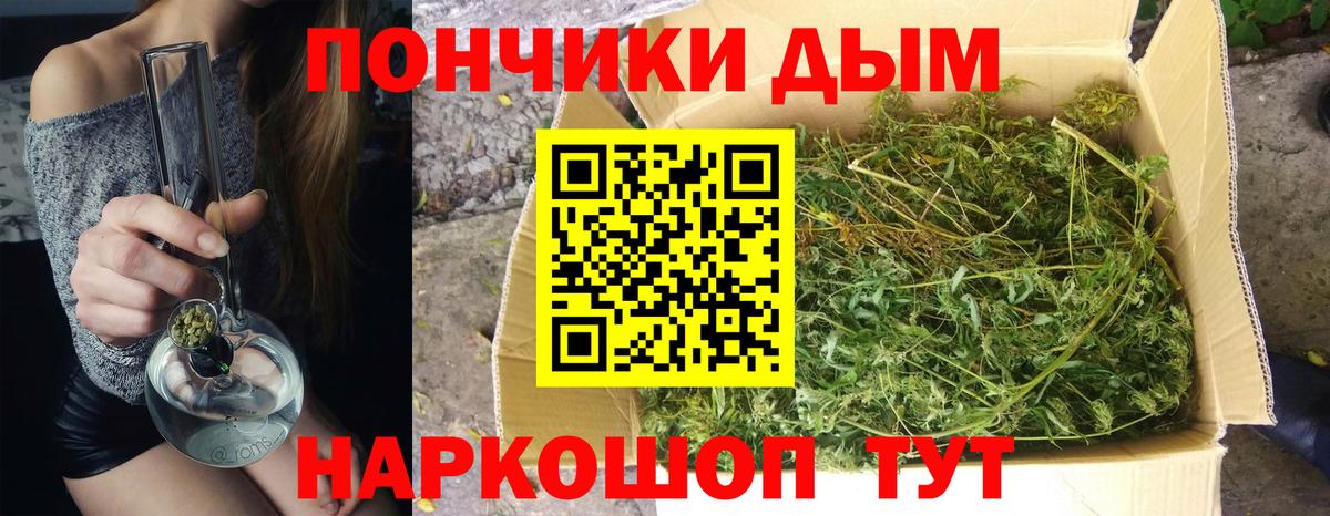 Каннабис сатива Донецк